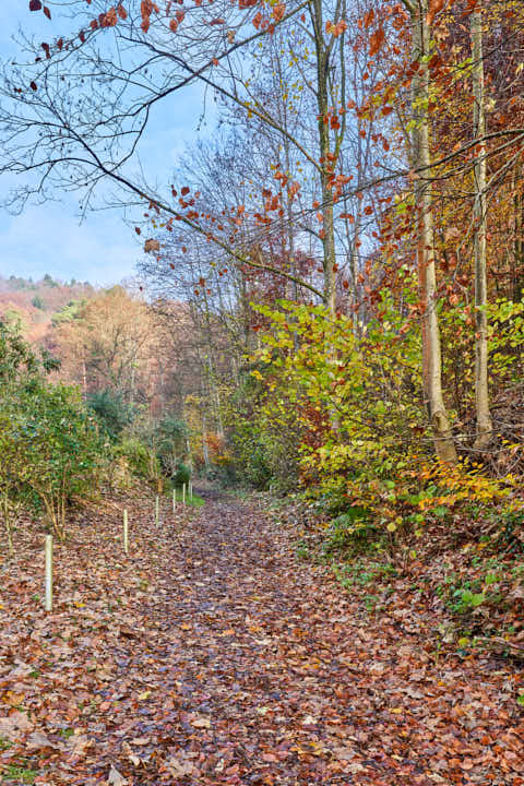 Gemeinde Julbach Landkreis Rottal-Inn Schlossberg Herbst (Dirschl Johann) Deutschland PAN